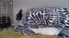 Solesticia @Solesticia webcam capture — Athletic, Blonde hair, Green eyes, Caucasian, 43 yrs, Bisexual — tags: blonde, boobs, Big tits, milf, Deep Throating, tall, natural, tit wank, squirting, dildo, crazy, Spitting, drinks, cream, sucking, ASMR, Legs, Blow Jobs, voyeur, fetish, ass, sex, lovense, Feet, toes, princess, Oil, horny, Sex, masturbation, toys, new