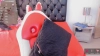 Ssknyysweeet_ @Ssknyysweeet_ webcam capture — Slim/Petite, Black hair, Brown eyes, Hispanic, 23 yrs, Straight — tags: sexy, cute, skype, young, tits, ass, ass hole, latin, cum, squirt, toys, oil, pretty, funny, petite, eyes, natural, hot, pvt, sex, music, cam 2 cam, colombiana, role playing, anal