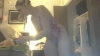 Sugarfixxx @Sugarfixxx webcam capture — Slim/Petite, Platinum Blonde hair, Blue eyes, Caucasian, 32 yrs, Bisexual — tags: Blonde, Natural, young, attractive, Sexy, funny, fun, out going, New Modle, Tight Pussy, Tight Asshole, Fingering, Vibrator, Masturbate, Fucking Hot, dancer, Deep Throat, learn to Squirt, Cum in mouth, Cock Sucking, beauty queen, horny, slut, pussy licking, Feet, anal penetration, big pussy lips and clit, how many times can I cum, Shaved, School girl Fantasy, Twerking, swallows loads