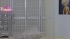 Capture at 2025-10-15 00:12:55
