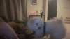 Capture at 2025-10-15 02:33:48