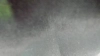 Capture at 2025-10-11 16:20:29