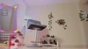 Thais_dreams @Thais_dreams webcam capture — Athletic, Black hair, Brown eyes, Hispanic, 30 yrs, Straight — tags: ebony, fetish, squirt, smalltits, petite, pantyhouse, stockings, nylon, feet, heels, ass, shaved, office, legs, dildo, lush, cute, toys, masturbation, dance, natural tits, c2c, new model, roleplay, erotic, fingering, oil, high heels, schoolgirl, blackhair, brunete, toes