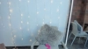 Capture at 2025-10-14 20:37:44