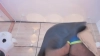 Thaylana_T @Thaylana_T webcam capture — Ample, Black hair, Hazel eyes, Black, 42 yrs, Straight — tags: Colombia, Latina, mature, milf, tatto, blowjob, bigboobs, dance, friendly, new, striptease, erotic, pretty, squirt, natural, horny, dirtytalk, mommy, wet, torso, hot, c2c, smile, bigass, pussy, private, student, real, plug, oral, oil, cute