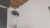 Capture at 2025-10-16 03:13:27