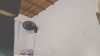 Capture at 2025-10-16 03:23:13