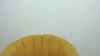 Capture at 2025-10-12 05:25:37