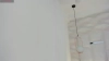 Capture at 2025-10-11 08:01:18