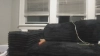 Treefairyxoxo @Treefairyxoxo webcam capture — Slim/Petite, Blonde hair, Hazel eyes, Caucasian, 21 yrs, Bisexual — tags: milf, blonde, small, tattoos, rough, tiny, toys, ass, naughty, anal, naturaltits, fun, cum, new model, bisexual, playful, submissive, squirt, babygirl, wild, teamshows, young, wax, sweet, horny, new, twogirls, shy, white, short, wet, dom