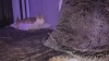 Capture at 2025-10-15 01:01:23