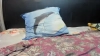 Ultrachick @Ultrachick webcam capture — Slim/Petite, Blonde hair, Green eyes, Caucasian, 40 yrs, Bisexual — tags: Squirt, Anal, Vaginal, Heels, Lush remote, Small penis humiliation, Cock balls torture, Stockings, Boots, Latex, Leather, Pantyhose, Deep throat, Blow job, Foot job, Suck toes, Jerk off instructions, Pussy pump, Cock rate, Ping pong pussy play, Fishnets, Strip dance, Cam2cam, Mistress, Domination, Blond, Milf, Gag ball, Nipple clamps, Spanks, Big ass, Small boobs