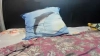 Ultrachick @Ultrachick webcam capture — Slim/Petite, Blonde hair, Green eyes, Caucasian, 40 yrs, Bisexual — tags: Squirt, Anal, Vaginal, Heels, Lush remote, Small penis humiliation, Cock balls torture, Stockings, Boots, Latex, Leather, Pantyhose, Deep throat, Blow job, Foot job, Suck toes, Jerk off instructions, Pussy pump, Cock rate, Ping pong pussy play, Fishnets, Strip dance, Cam2cam, Mistress, Domination, Blond, Milf, Gag ball, Nipple clamps, Spanks, Big ass, Small boobs