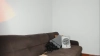 Capture at 2025-10-15 03:54:38