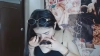 Capture at 2025-10-15 19:36:23