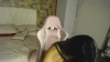 Capture at 2025-10-10 23:24:43