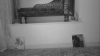 Capture at 2025-10-10 19:37:09