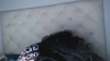 Capture at 2025-10-16 04:46:50