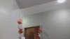 Capture at 2025-10-15 14:33:44
