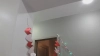 Capture at 2025-10-15 14:36:26
