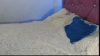 Capture at 2025-10-11 14:38:33