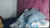 Capture at 2025-10-14 17:16:54