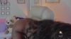 Capture at 2025-10-14 23:46:06