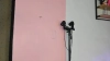 Zoe_maddison @Zoe_maddison webcam capture — Slim/Petite, Brown hair, Hazel eyes, Asian, 25 yrs, Bisexual — tags: hush, wet, hot, small, squirt, farts, asian, small tits, dancer, anal, lovens, big ass, glasses, bisexual, young, hot ass, toys, natural tits, hairy pussy, skype show, cam2cam, pvt, blowjob, pussyshaved, Independent, balloons, tattoos, colombian, whatsapp, hitachi, inocent, sexy feet