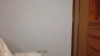 Zoedixon01 @Zoedixon01 webcam capture — Athletic, Black hair, Brown eyes, Hispanic, 28 yrs, Bisexual — tags: sexy, young, masturbate, toys, anal, smile, nice ass, long hair, feet, dildo, natural tits, private, tattoos, big tits, latina, big ass, cam2cam, striptease, slim, long legs, sexy lips, pretty face, all natural, deepthroat, college girl, double penetration, colombian, black hair, oilshow, milf, panties for sale, big pussy lips