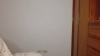 Zoedixon01 @Zoedixon01 webcam capture — Athletic, Black hair, Brown eyes, Hispanic, 28 yrs, Bisexual — tags: sexy, young, masturbate, toys, anal, smile, nice ass, long hair, feet, dildo, natural tits, private, tattoos, big tits, latina, big ass, cam2cam, striptease, slim, long legs, sexy lips, pretty face, all natural, deepthroat, college girl, double penetration, colombian, black hair, oilshow, milf, panties for sale, big pussy lips