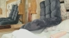 Capture at 2025-10-15 08:52:48