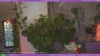 Capture at 2025-10-14 05:51:23