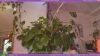Capture at 2025-10-14 06:04:31