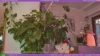Capture at 2025-10-14 06:21:17