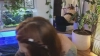 Capture at 2025-10-14 02:39:43