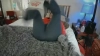 amberdawnxxx @amberdawnxxx webcam capture — Little in the middle, Red hair, Hazel eyes, Caucasian, 48 yrs, Bisexual — tags: redhead, ginger, spanko, otk, spanking, amber, pale, big ass, bubble butt, spankamber, cbt, bisexual, girl next door, natural breasts, domination, goddess, Spank, Roleplay, shaved, big tits, Sexy, Fun, Good music, Dance, sph, joi, spankamber, findom, domme, feet, mature, worship