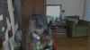 Capture at 2025-10-14 13:08:38