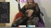 Capture at 2025-10-14 06:20:38