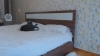 Capture at 2025-10-12 07:37:45