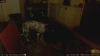 Capture at 2025-10-15 08:44:15