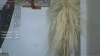 Capture at 2025-10-13 02:12:24