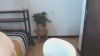 Capture at 2025-10-15 04:03:31
