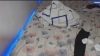Capture at 2025-10-10 22:57:28