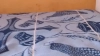 Capture at 2025-10-13 11:54:43