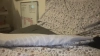 Capture at 2025-10-11 20:21:29