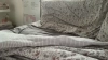 Capture at 2025-10-12 11:49:42