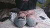 Capture at 2025-10-13 03:35:56