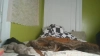 Capture at 2025-10-15 05:31:44
