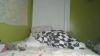 Capture at 2025-10-15 06:53:51