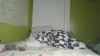Capture at 2025-10-15 06:55:15